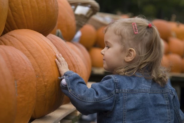 Pumpkins