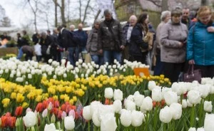 Botanical Gardens Host Gardening Market