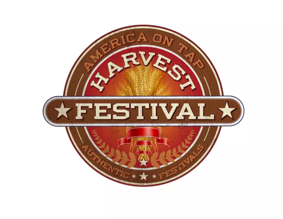 Binghamton Harvest Festival