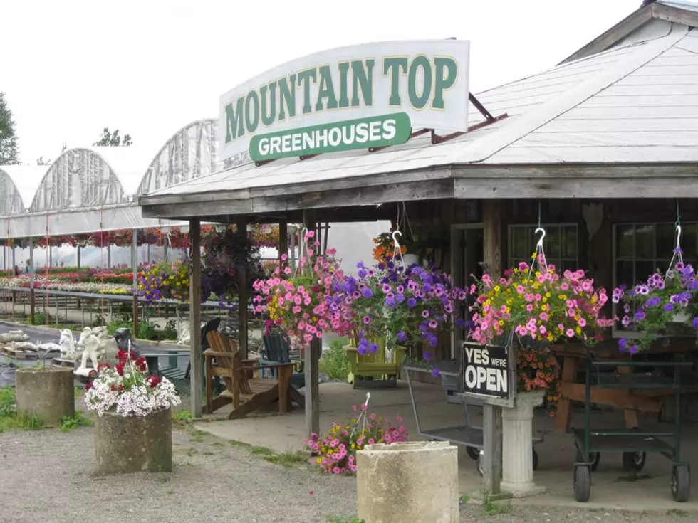 Join John Davison at Mountain Top Greenhouses on Mother&#8217;s Day Weekend!