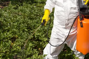 You May Be Eating Weed Killer and Not Know It