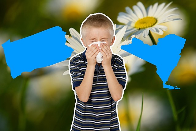 AH-CHOO! Here's The Spring Allergy Forecast For New York and Pennsylvania