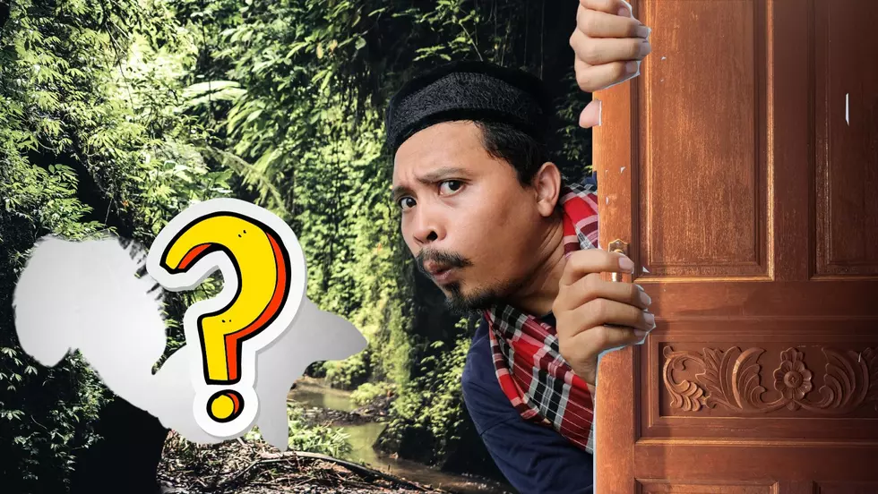 New Species Found In New York State?