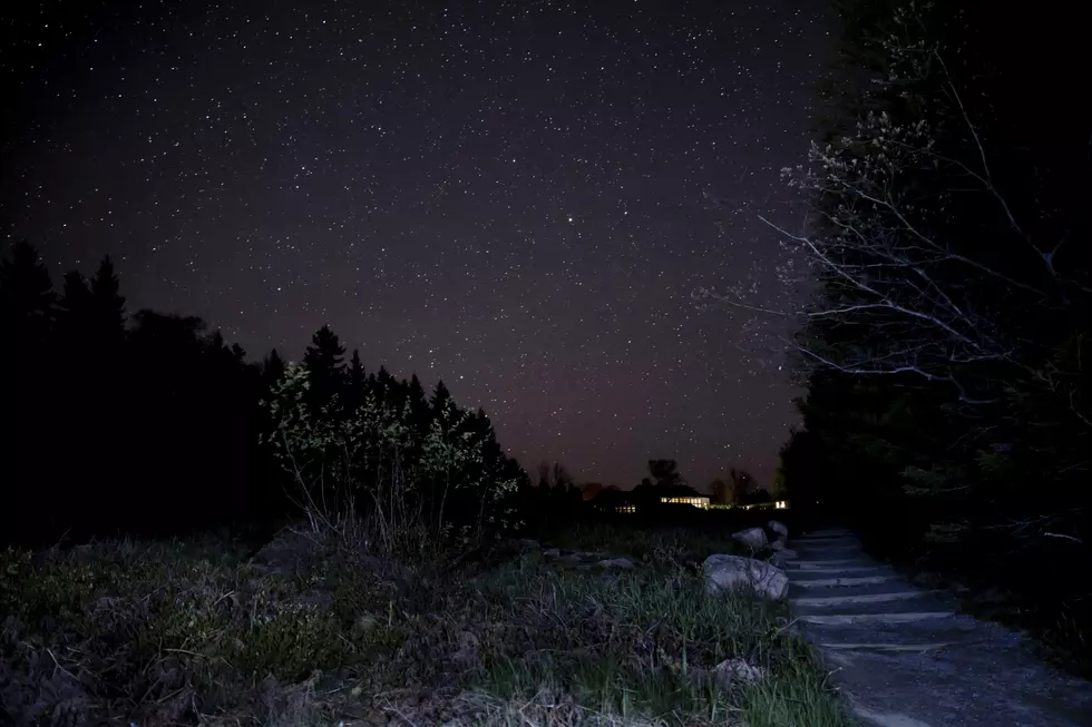 Take a Walk on the Spooky Side at the Haunted Vestal Rail Trail
