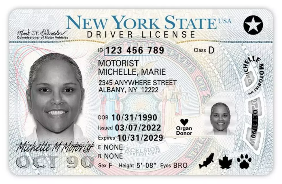 NYS Department Of Motor Vehicles
