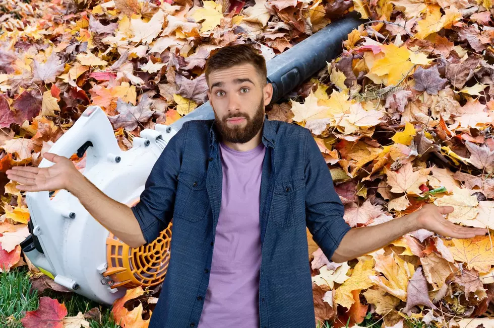 Should New York State Impose Leaf Blower Restrictions?