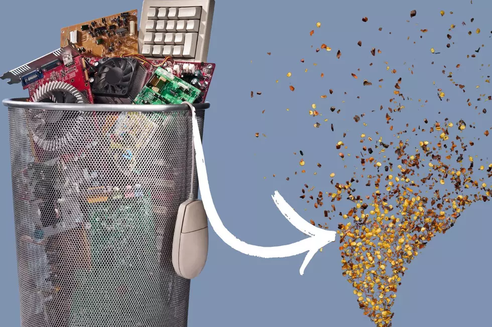 Cornell University Discovers a Way to Transform Electronic Waste Into Gold