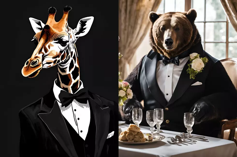 Get Ready for an Evening of Food, Drinks, and Animal Adventures in Binghamton