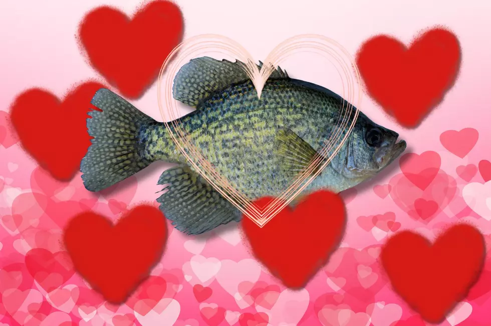 Broome County’s Most Unexpected Valentine’s Day Date Is On The Ice