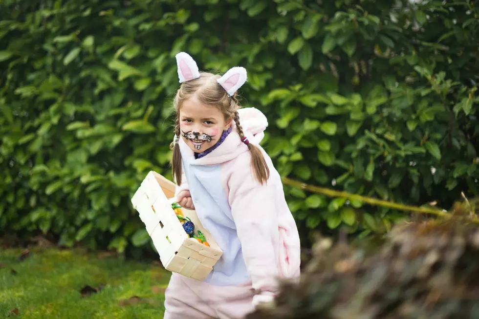 Find Your Easter Bunny Name Using This Silly Generator