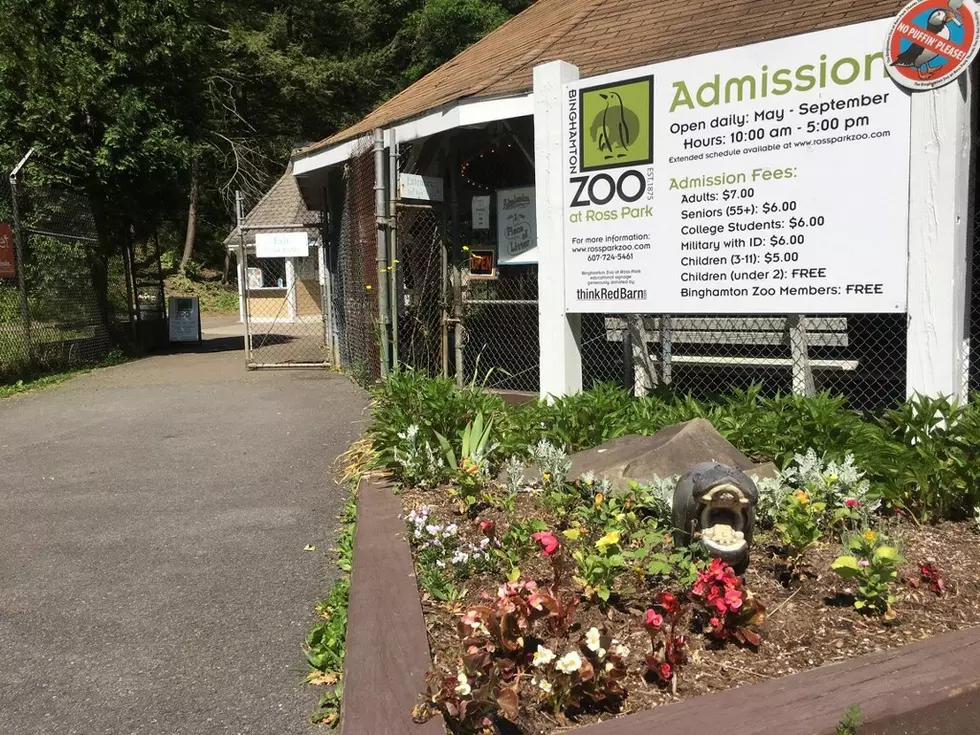 Binghamton Zoo Announce Their New Executive Director